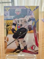 Sportzoo - Lausanne HC - Damien Riat - 10/10
