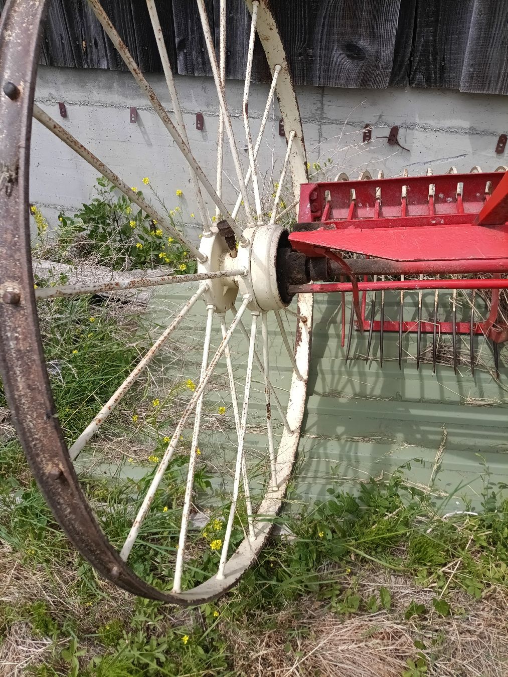 Bucher Tutte le macchine: Pferderechen für Traktorzug  – Usato da Hinterfultigen venduto da fri_w7bc 5
