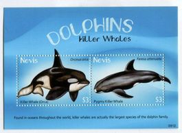 Block "Wale". Nevis.