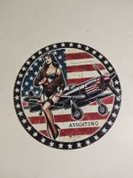 Blechschild Pin-Up Girl und Flieger - Neu. (nov640)
