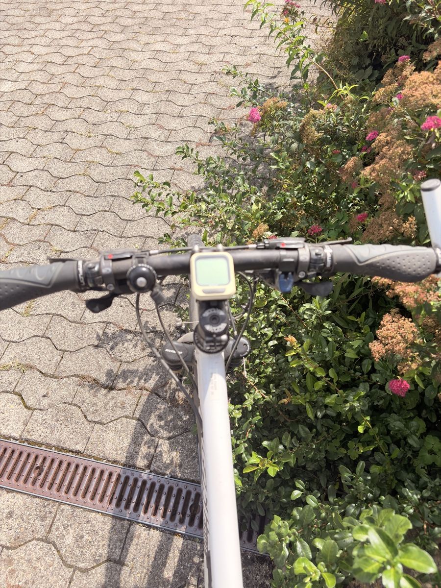 Velos: Fahrrad – Gebraucht aus Zürich von ret_2dzn 1