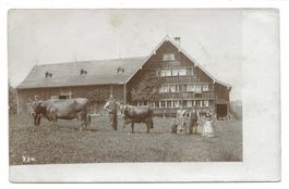 Appenzeller Bauernhaus (AI/AR) Bauer - Familie - Kühe - wo ?