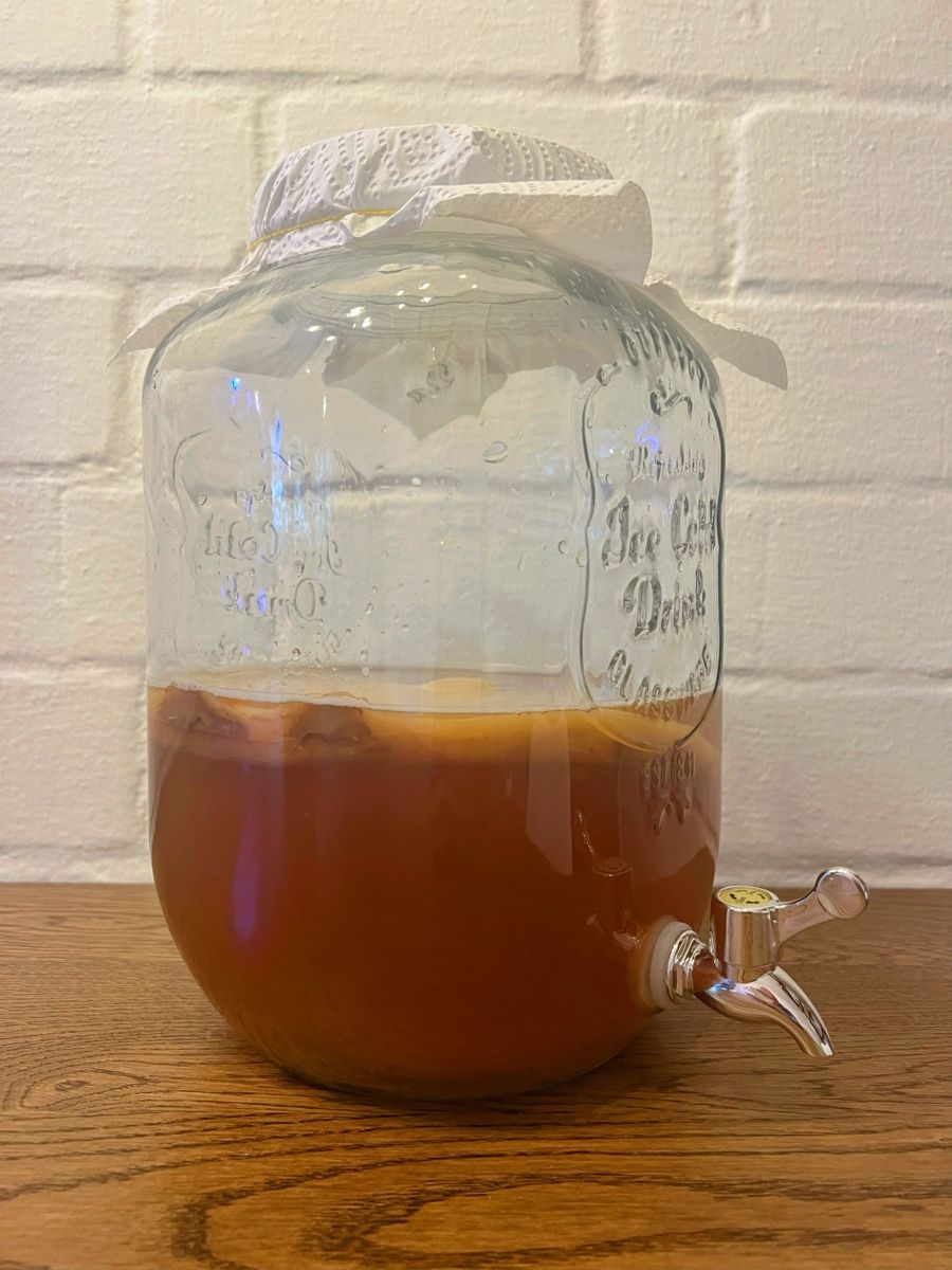 Lebensmittel & Spezialitäten: ✨ Bio - Kombucha - Scoby ✨ – Gebraucht aus Bern von gen_j9gp 1