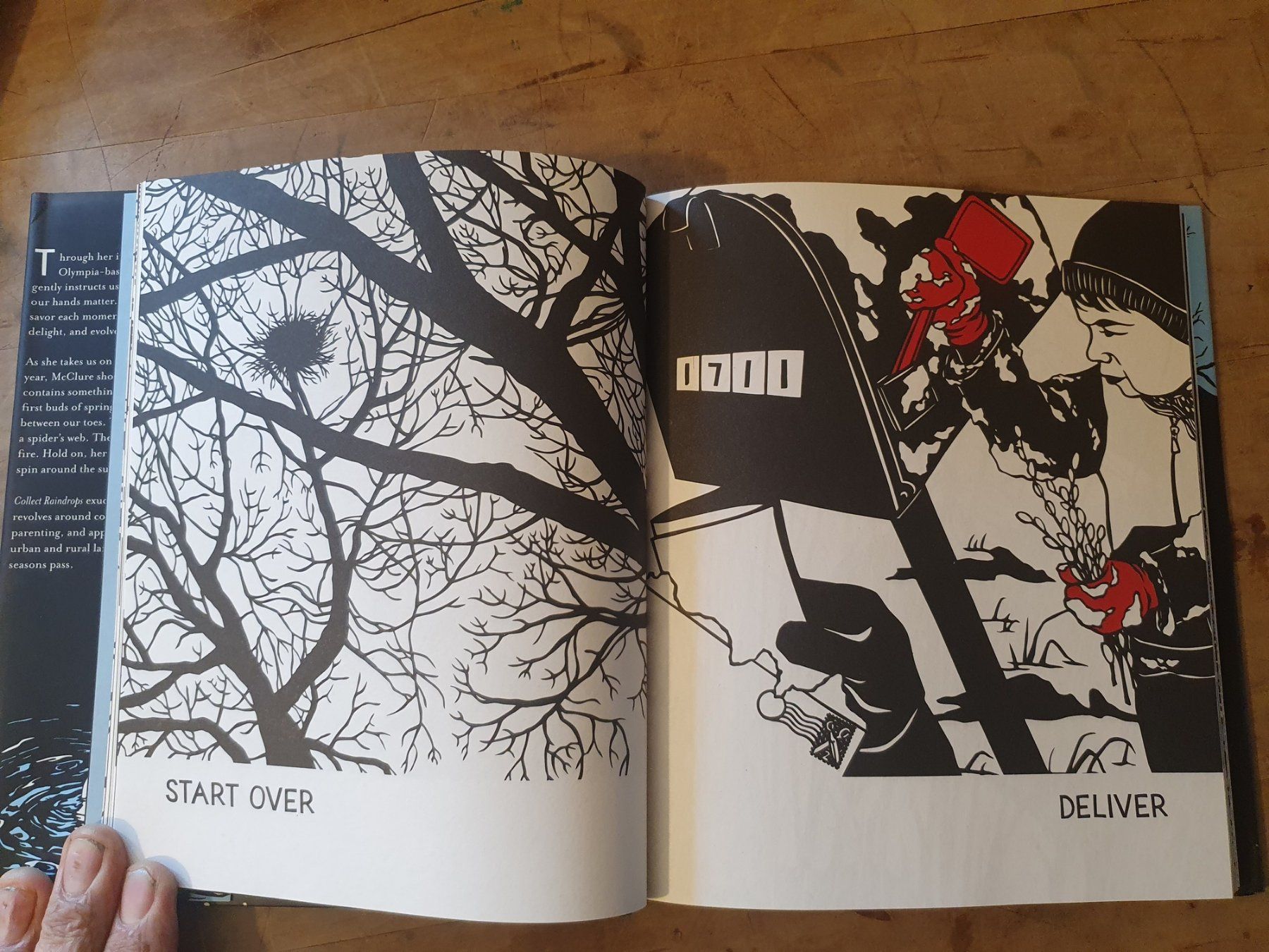 Libri: Collect Raindrops Mikki McClure Abrams – Usato da Zürich venduto da loosebone 3