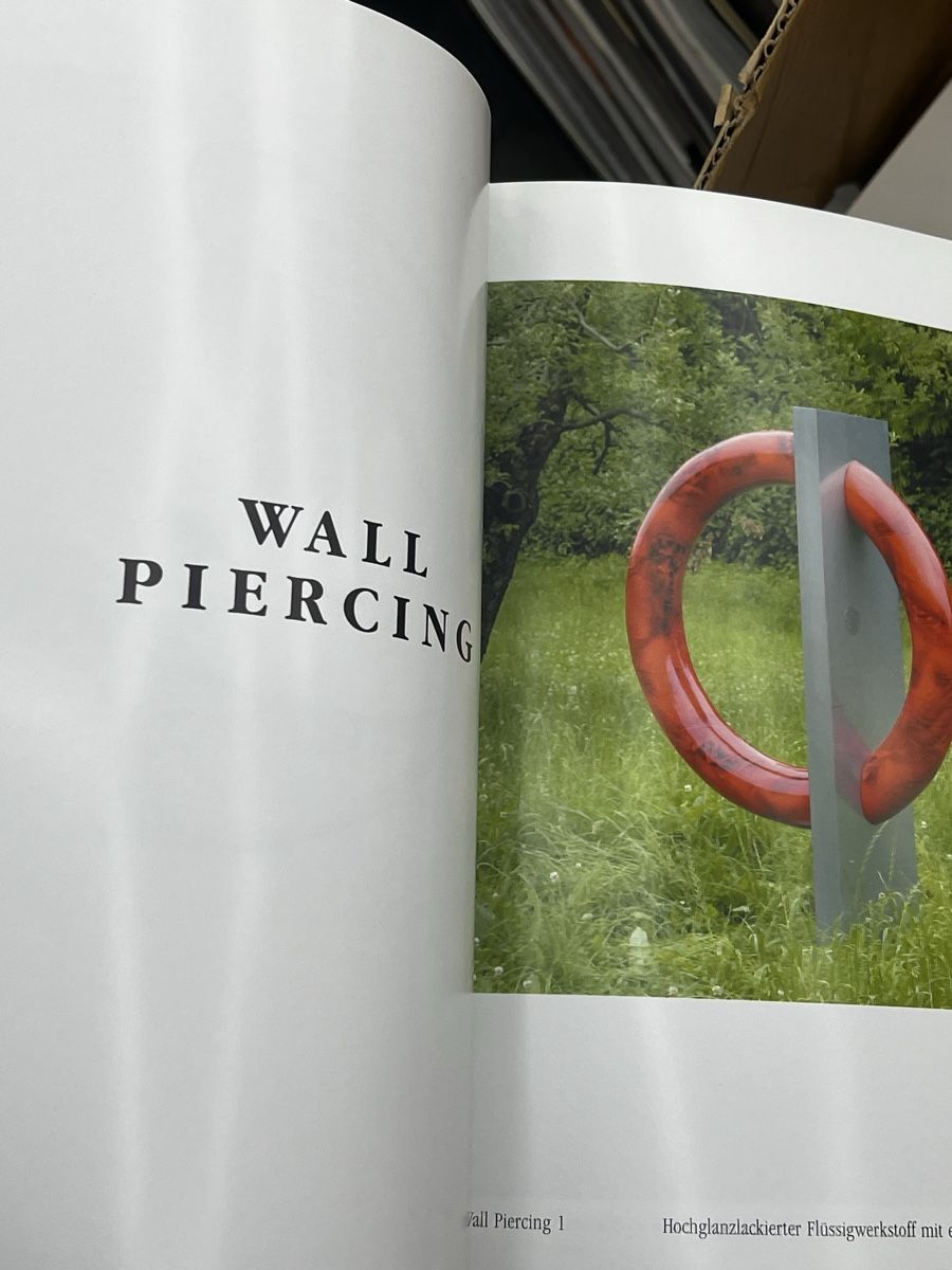 Libri: Gino Pelli Katalog The Cycle & The pierced objects – Usato da Wettingen venduto da NickInc 5