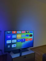 Philips Fernseher 47PFK7198/12 guter Zustand