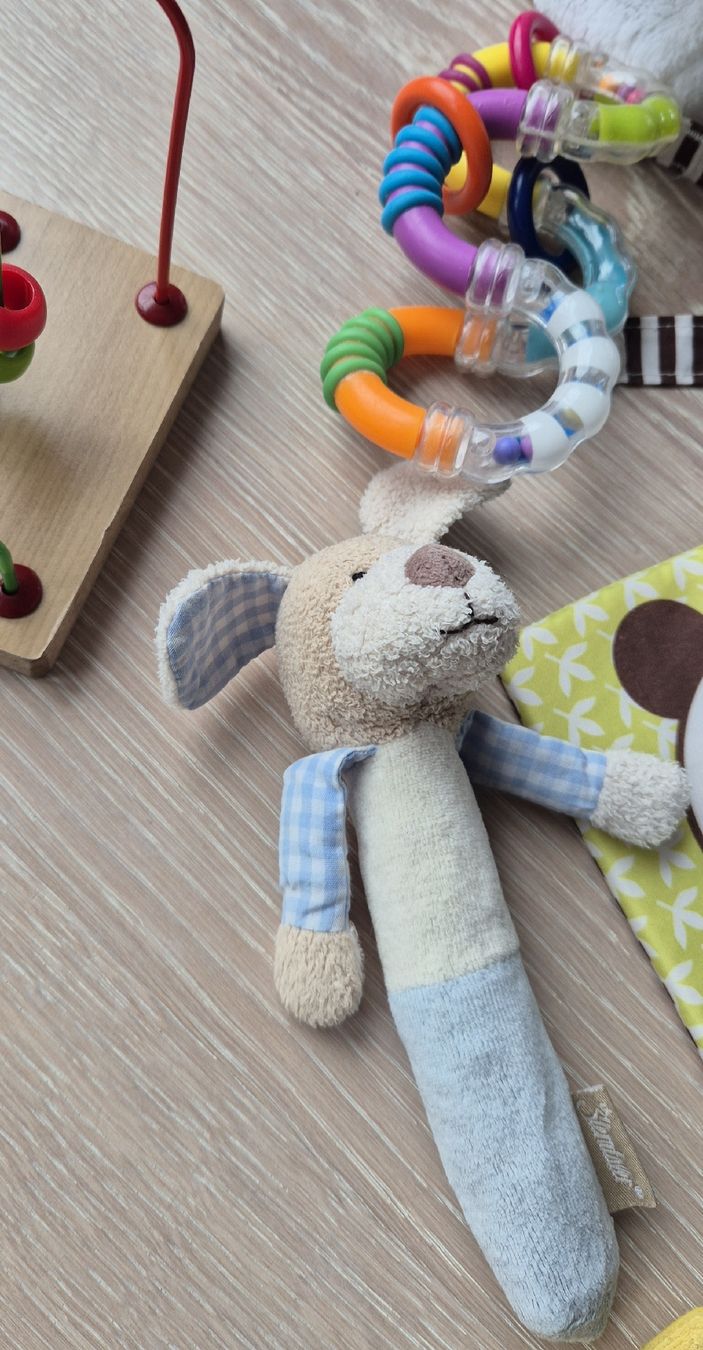 Giocattoli: Babyspielzeug Set – Usato da Zürich venduto da Greenthesheep 3