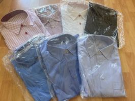7x Baumwolle Hemd neu top Qualität Grösse L