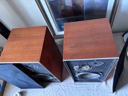 B&O Beovox 3702