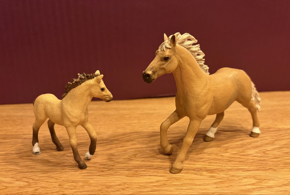 Schleich Spielzeuge: 2 Schleich Pferde, 2 Fohlen 1 Halfter – Gebraucht aus Blumenstein von rumba9 2