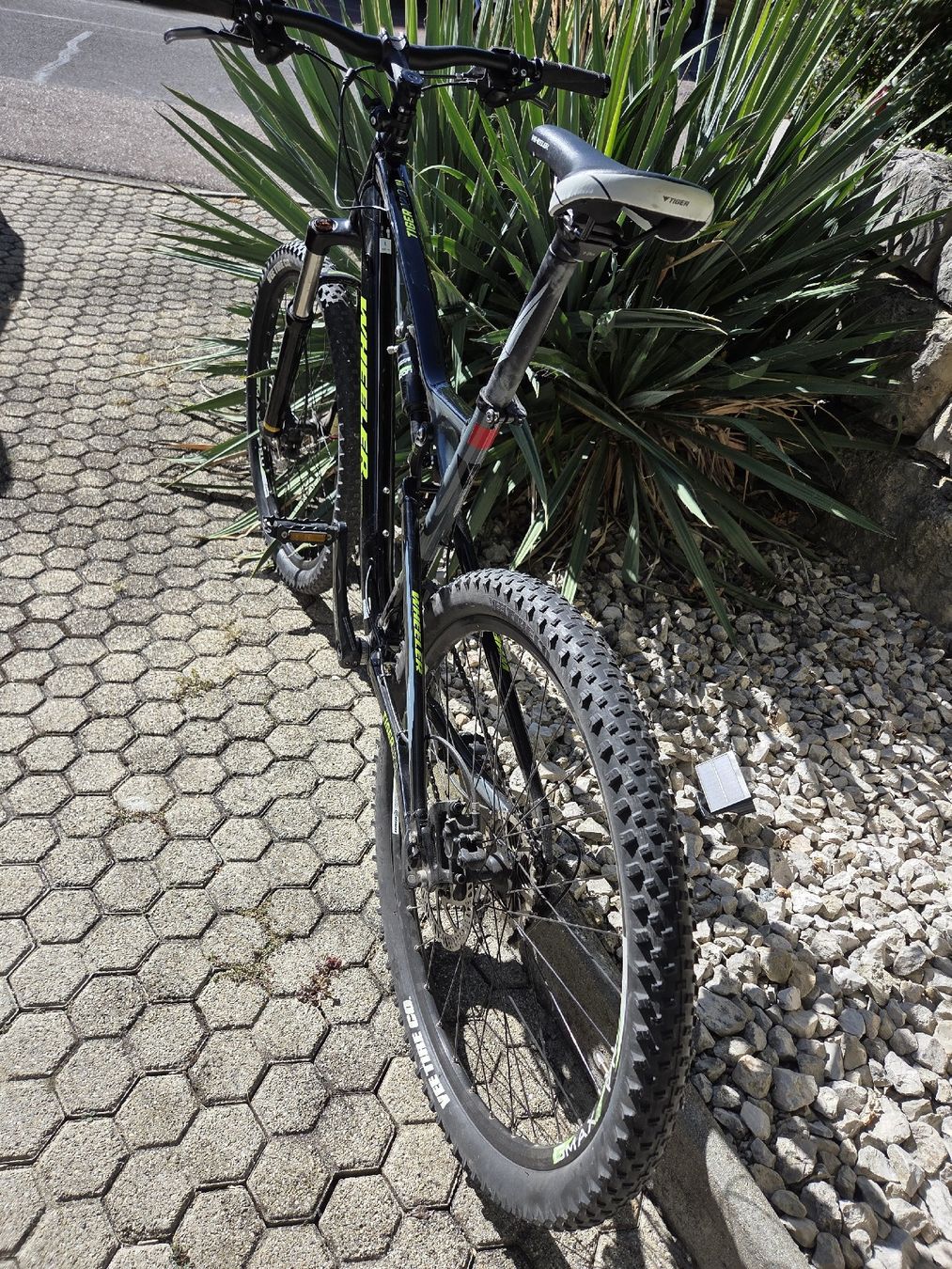 Wheeler Velos: MTB Wheeler Tiger 12 – Gebraucht aus Tenniken von Mrsush 4