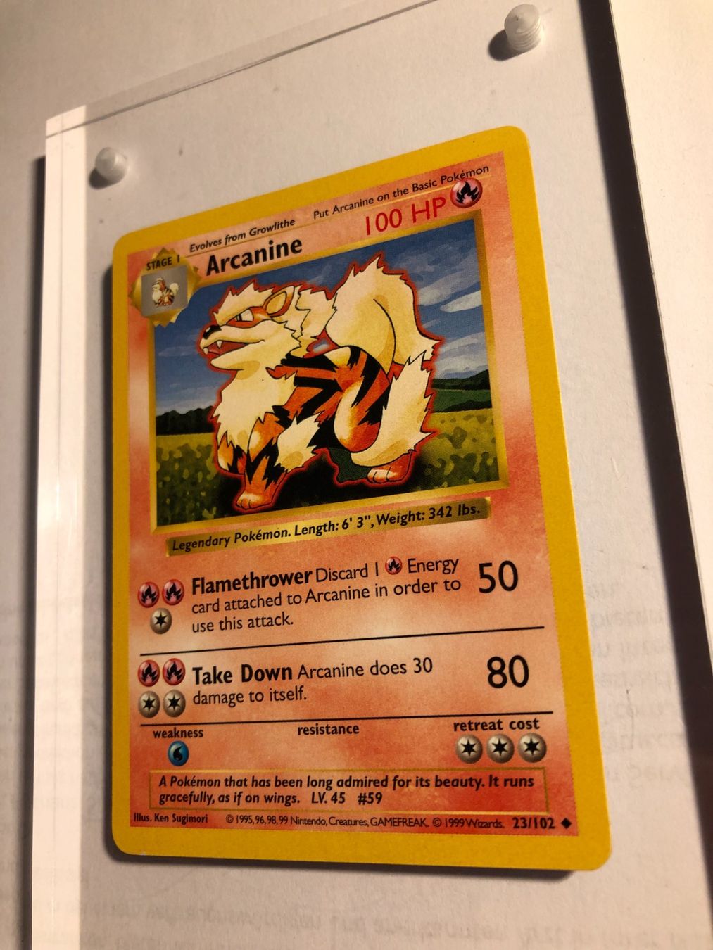 Sammelbilder & Trading cards: Arcanine (uncommon) Base Set Shadowless - MINT - ab 1.- – Gebraucht aus Giubiasco von dan_pr8b 2