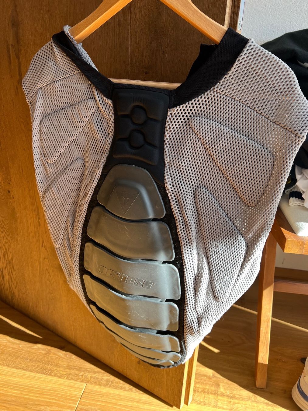 Dainese Schutz & Schoner: Dainese Rückenprotector – Gebraucht aus St. Moritz von Bengeee 1