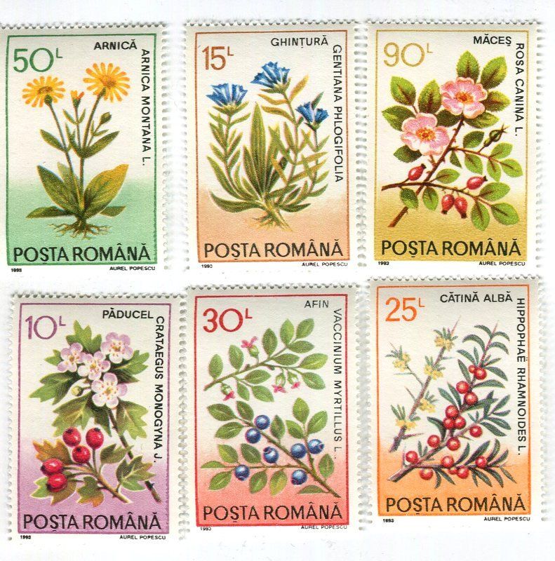 Alle Briefmarken: Briefmarken "Beeren". Rumänien. – Neu und originalverpackt aus Basel von Butsch5