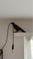 3D printed bird lamp with cord and bulb