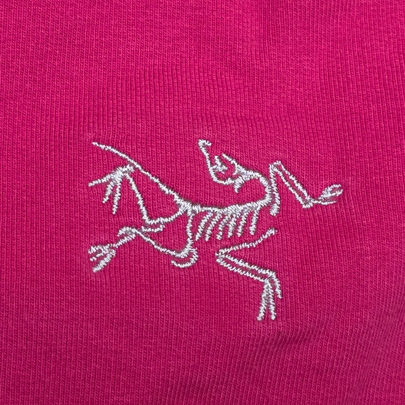 Arcteryx Pullover & Sweatshirts: 🐸 ARCTERYX HOODIE M PULLOVER PINK – Gebraucht aus Môtier (Vully) von Frogs 3