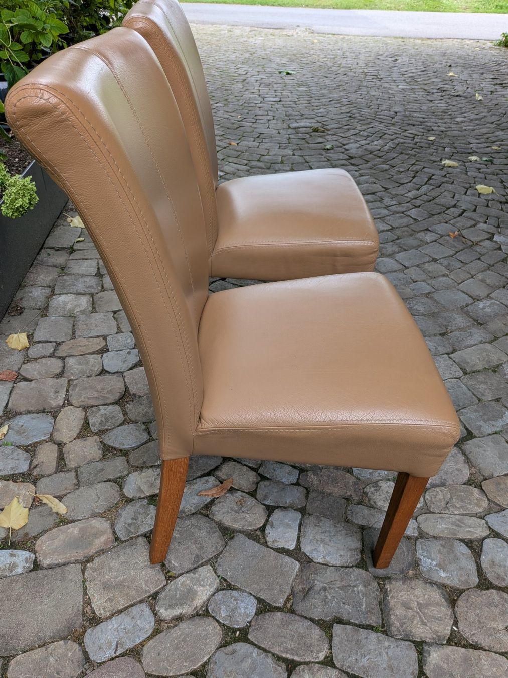 Chaises: 2 Esszimmerstühle Leder – D'occasion à Aefligen par madakape 1