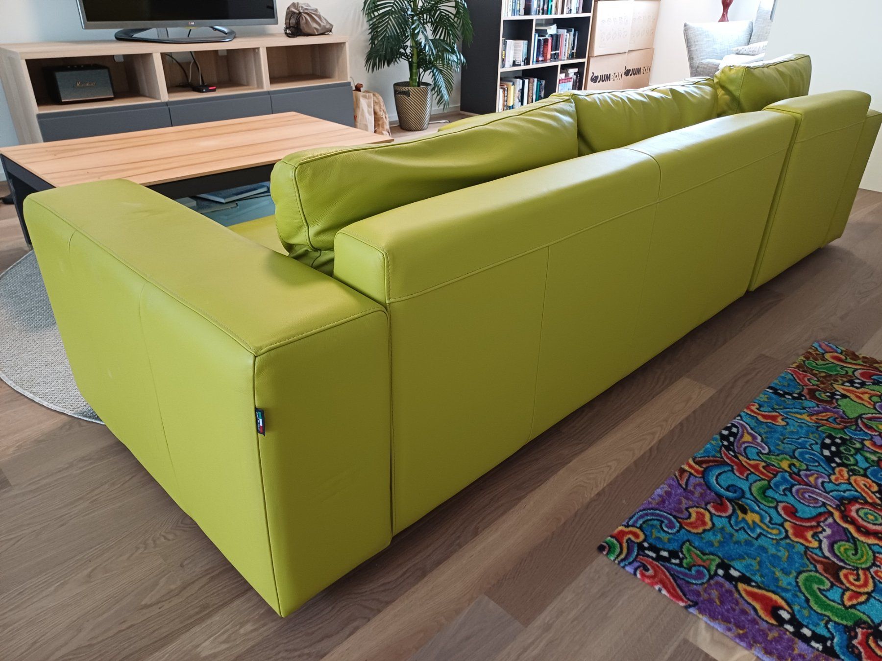 Sofas: Ledersofa – Gebraucht aus Wiesendangen von jan_jd8j 3