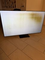 Samsung 65 Zoll Defekt