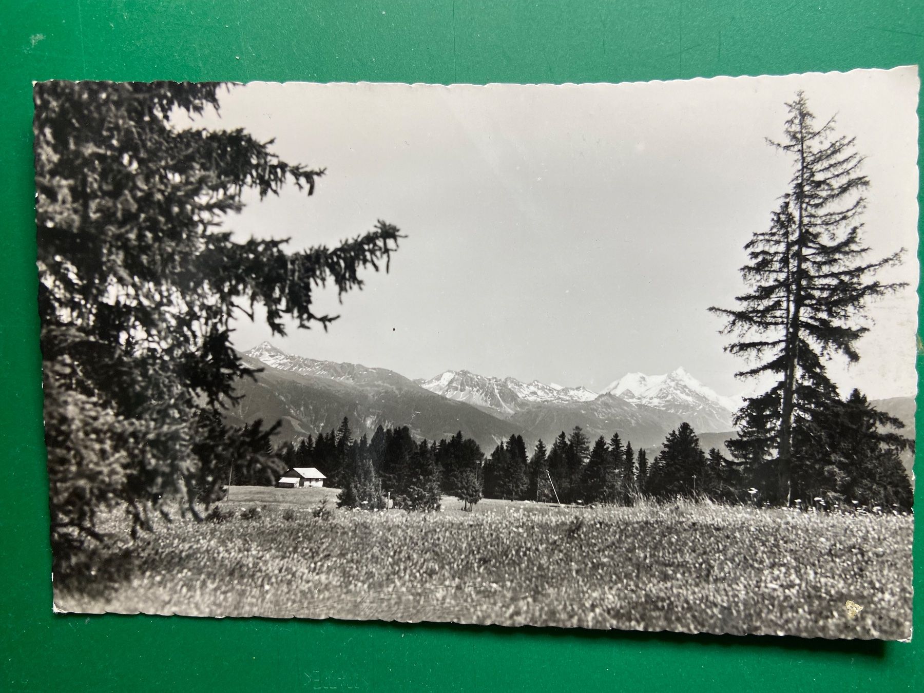 Cartoline postali: Crans s/Sierre - Plateau du Golf – Usato da Steg VS venduto da _vinci_