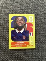 Panini FRA 11