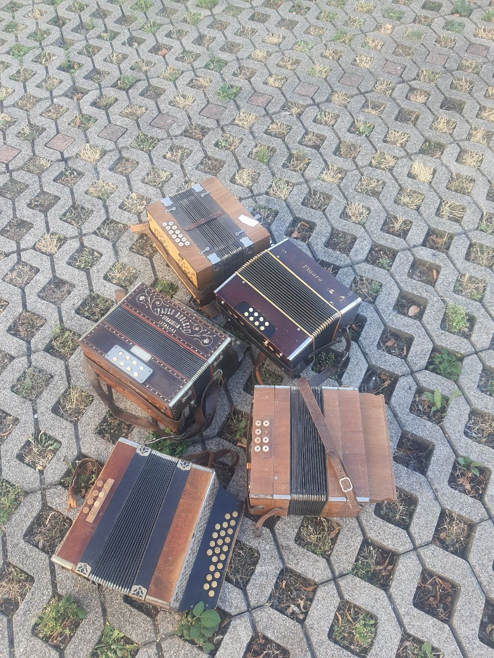 Strumenti musicali: lot de 5 accordéons diatonique  – Usato da Pont-de-la-Morge venduto da Mirabelle0 8