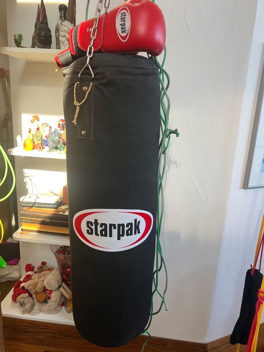 Boxsäcke: Boxsack und Boxhandschuhe – Gebraucht aus Menziken von alenka01