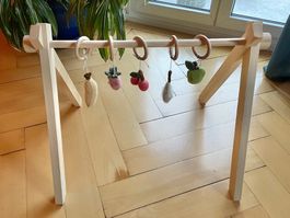 Quax Baby Play Gym/Activity Center with Fruits Toy Set