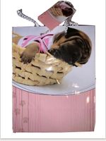 Geschenktüte Verpackung Hund Körbchen Tüte Geschenk
