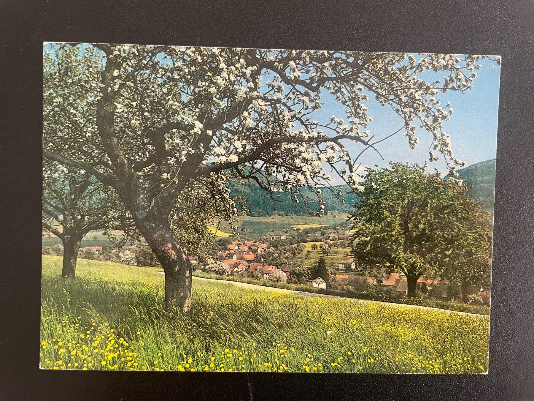 Cartes postales: AK SH Beggingen – D'occasion à Thal par Danny82