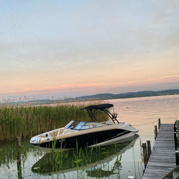 Scarab Boote: Scarab 255 ID Platinum – 400 PS – Sportlich, Stilvoll, Leist – Gebraucht aus Ueberstorf von Dave1991