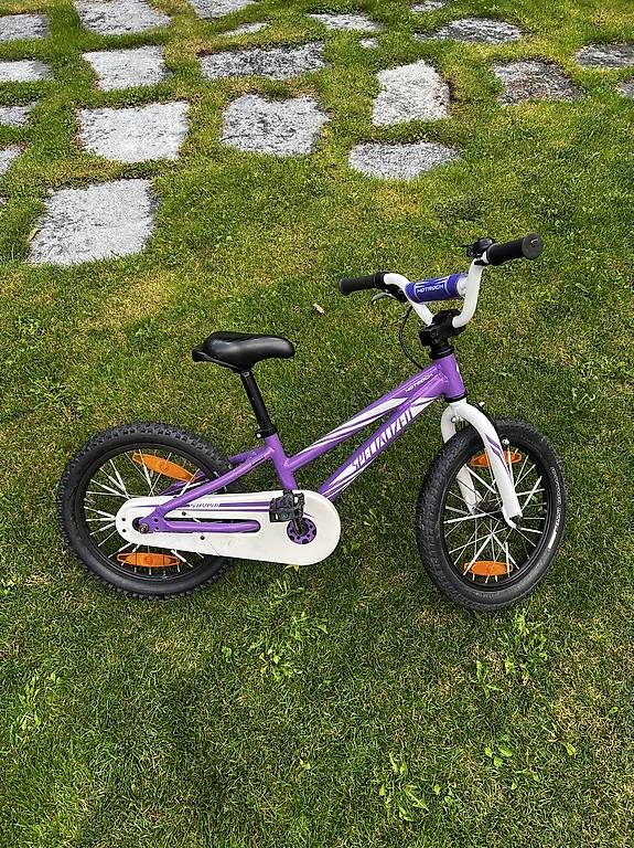 Biciclette: Specialized Hotrock 16 – Usato da St. Gallen venduto da MoriPe 1