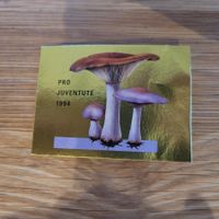 Markenheftchen Carnet De Timbre Pro Juventute 1994