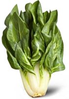 50 Samen BETA VULGARIS CICLA Mangold 🌱 50 Graines Carde