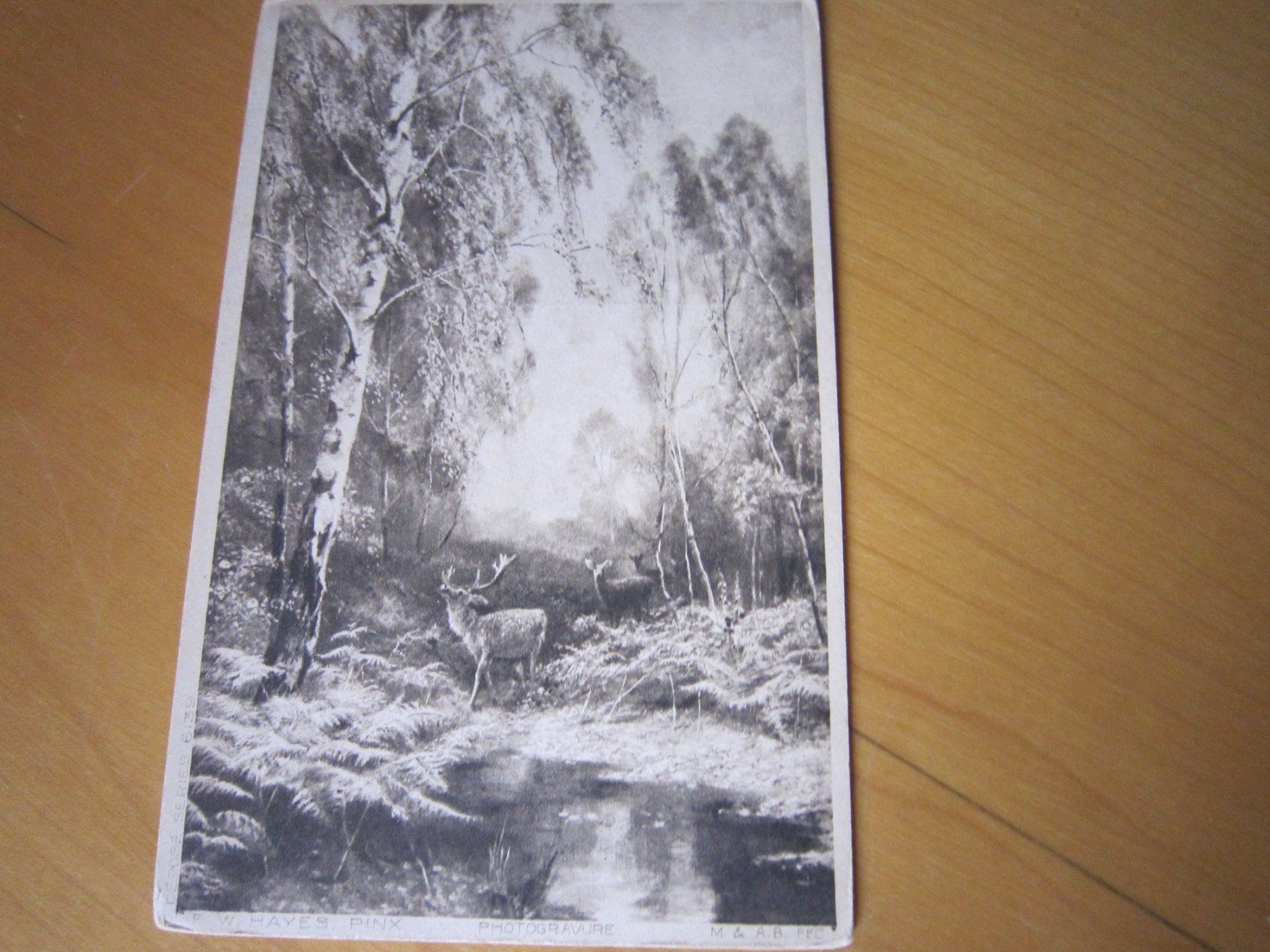 Cartoline postali: Antike Postkarten ALPENTIERE AB NUR 50 RP – Usato da Gordola venduto da Polentaefung 2