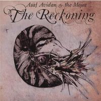 Asaf Avidan & the Mojos     The Reckoning  2008