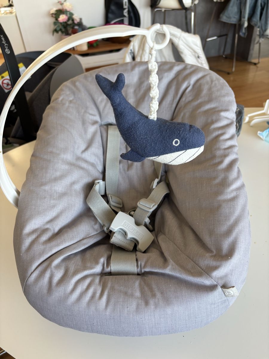 Stokke Seggioloni: Stokke Tripp Trapp Newborn Set – Usato da Baar venduto da VeliaT
