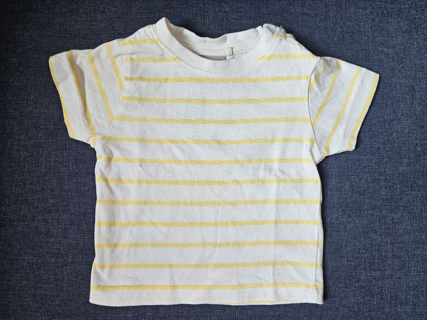 Camicie, Top & T-shirt: T-Shirt Gr. 62/68 – Nuovo (secondo la descrizione) da Worb venduto da jun_fj8w
