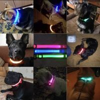 LED Hundehalsbänder 40-48cm