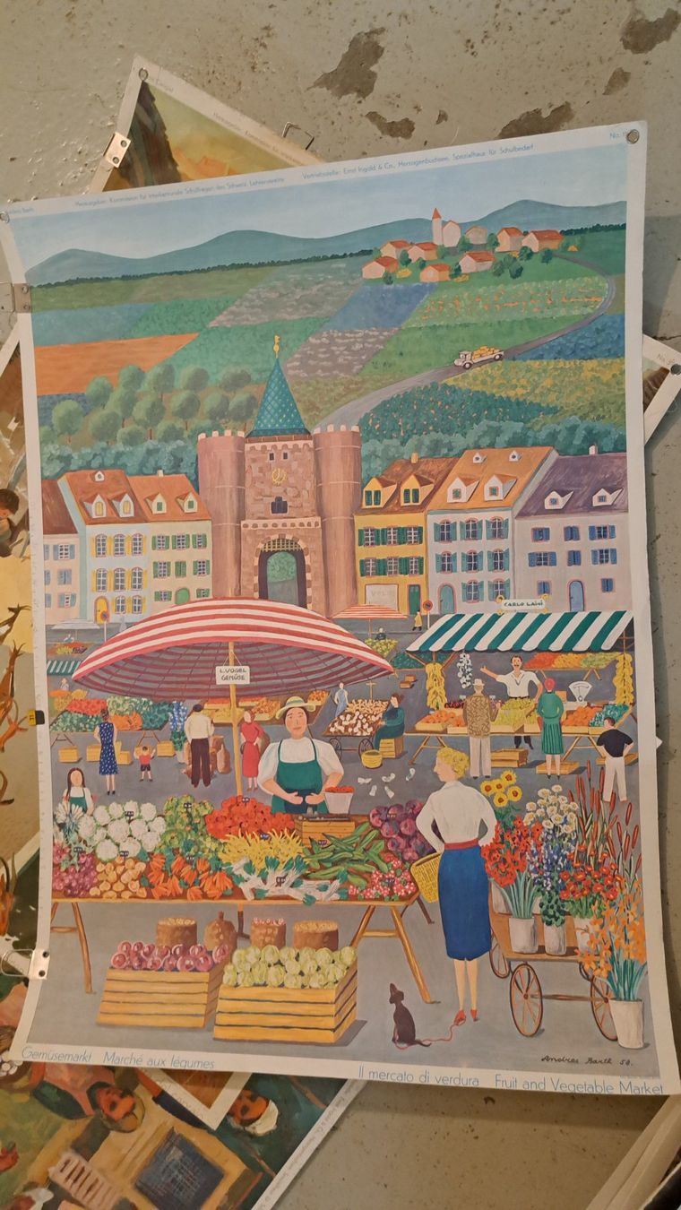 Poster & Bilder: Schulwandbilder – Gebraucht aus Flawil von Dodo68 1