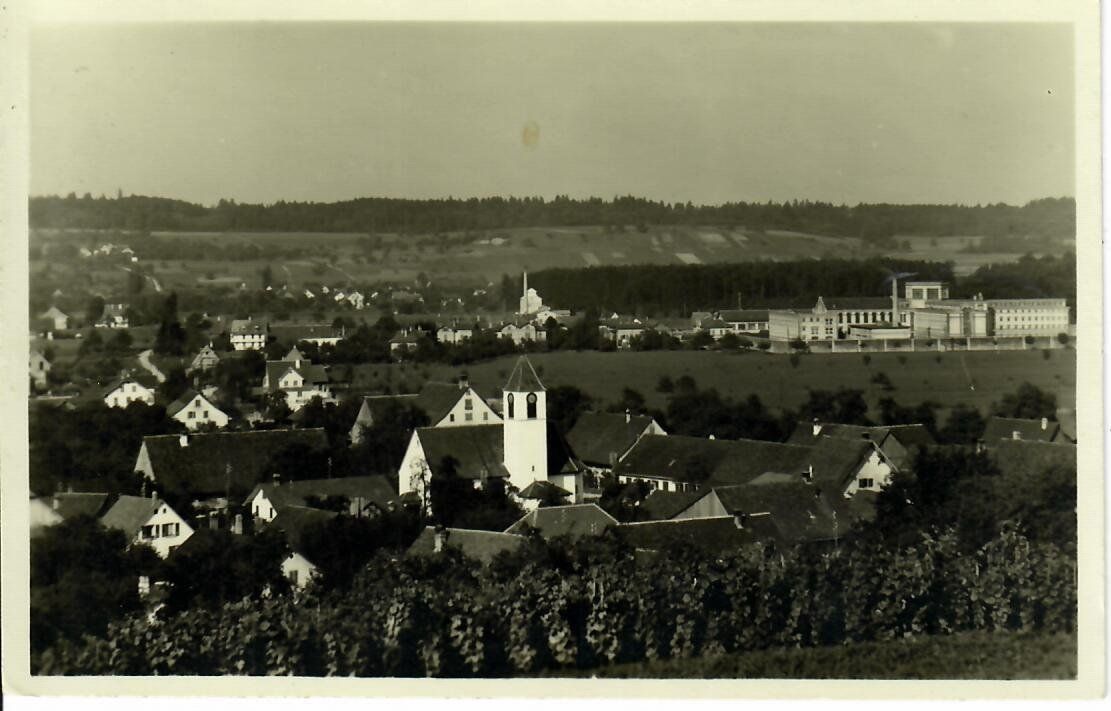 Cartoline postali: Regensdorf – Usato da Hochdorf venduto da Ziegel-16