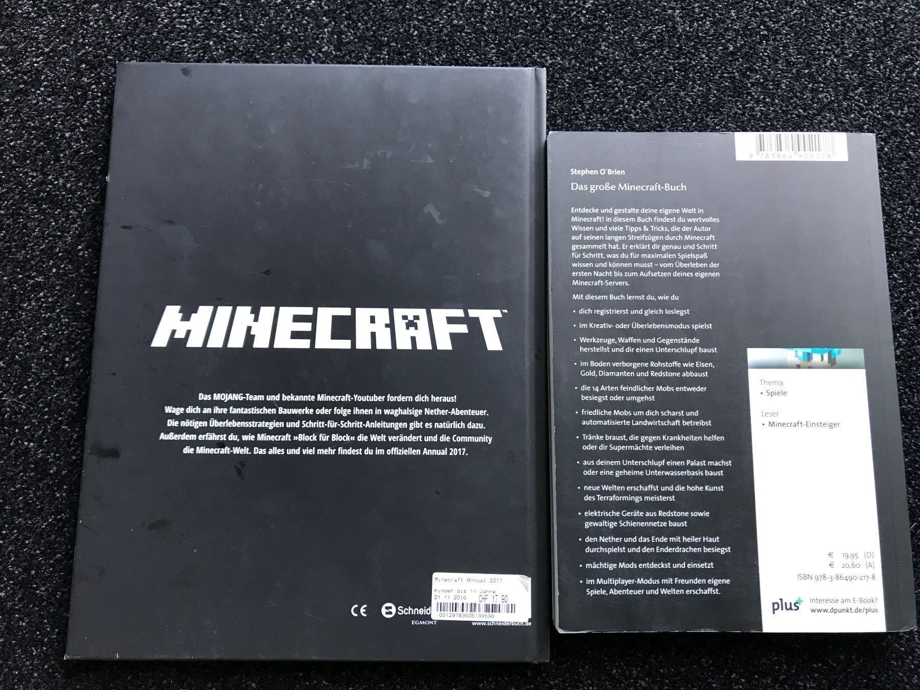 Libri: 2 Minecraft Bücher – Usato da St. Margrethen SG venduto da kellenbh 2