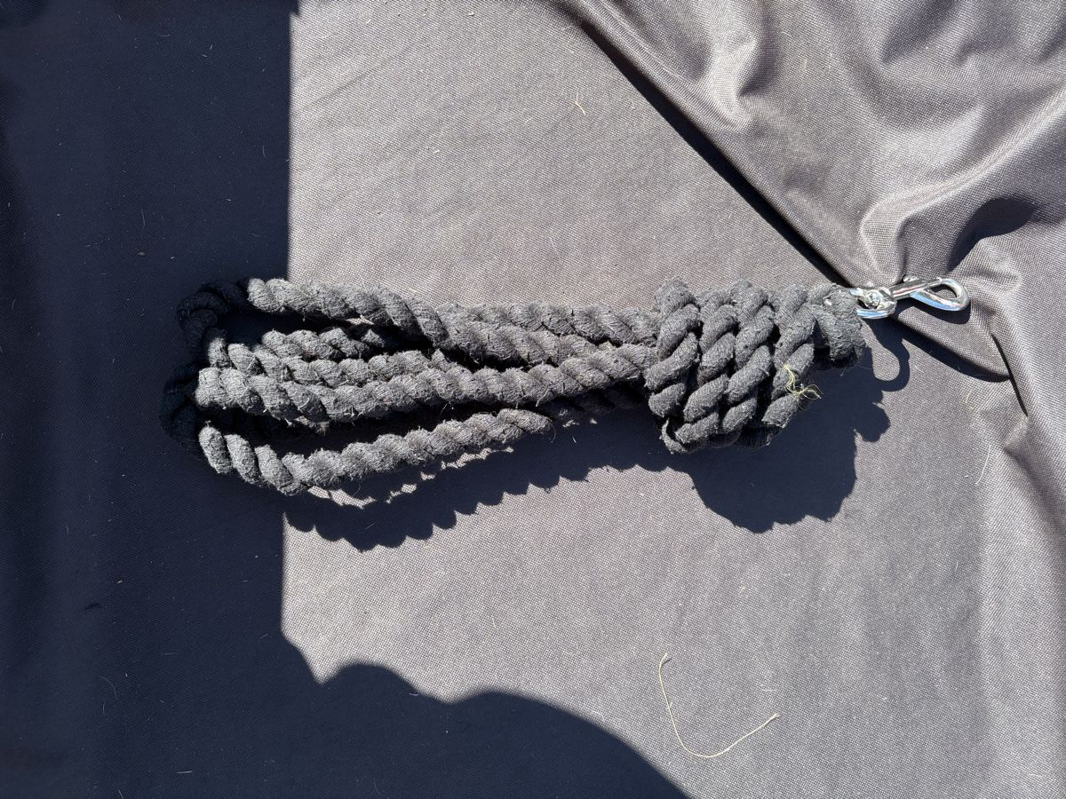 Brides, licols: Strick 3 m – D'occasion à Binningen par chi_n7g2