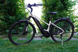 Frauen City E-Bike Bergamont E-Horizon 7 Lady