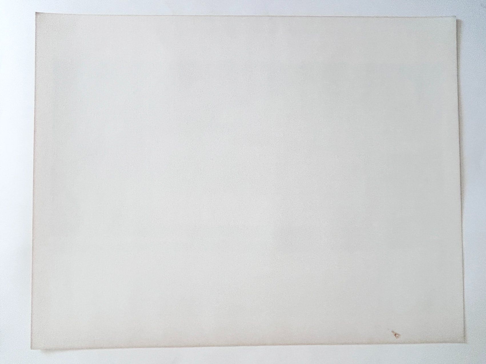 Grafica & Litografie: Roger Forissier - Camargue - Litho - Signée & numérotée – Usato da Genève venduto da Fastbozzo 5