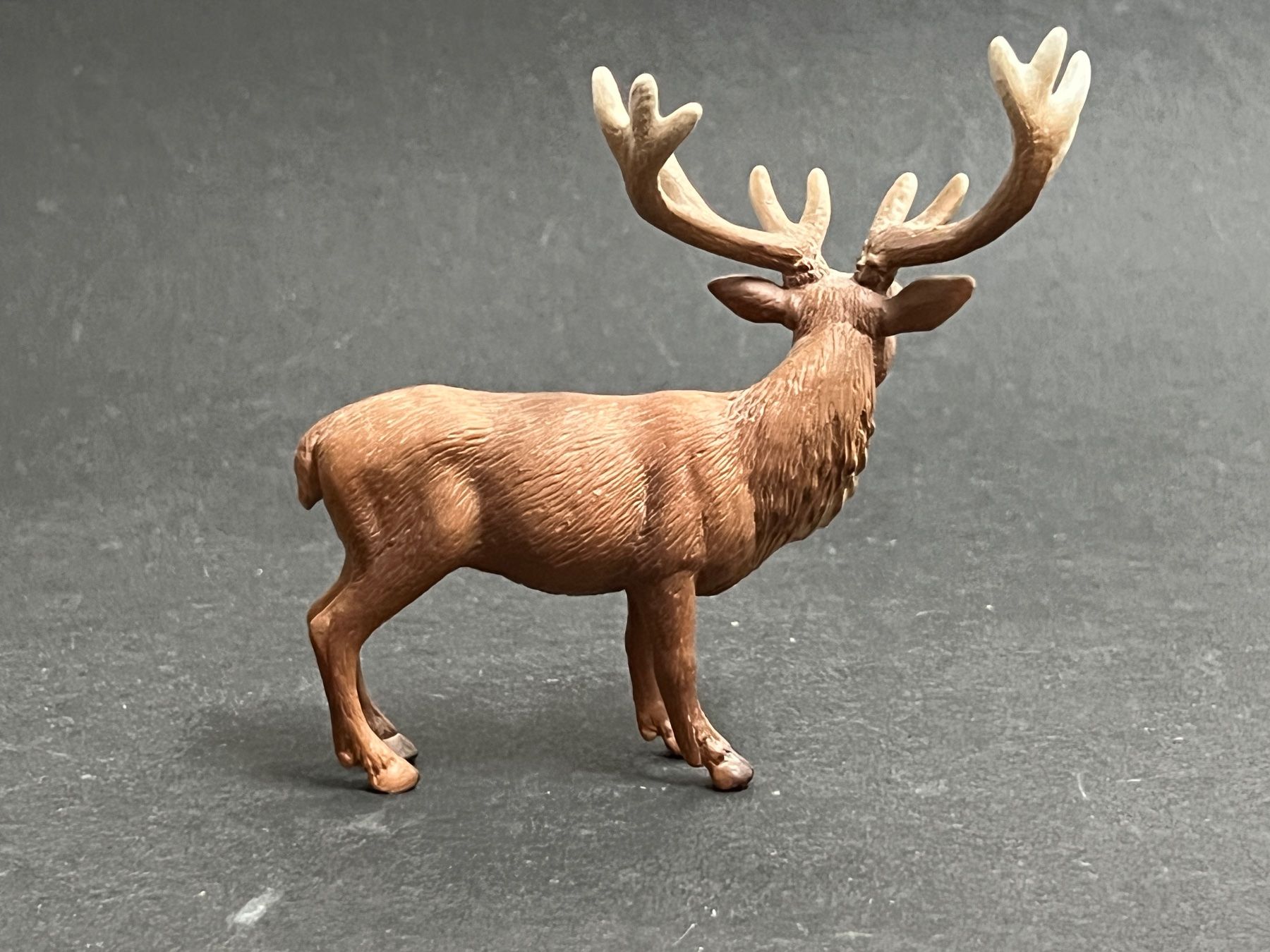 Schleich Statuette: Schleich Rothirsch Hirsch Kuh – Usato da Ennetbaden venduto da mapa05 3