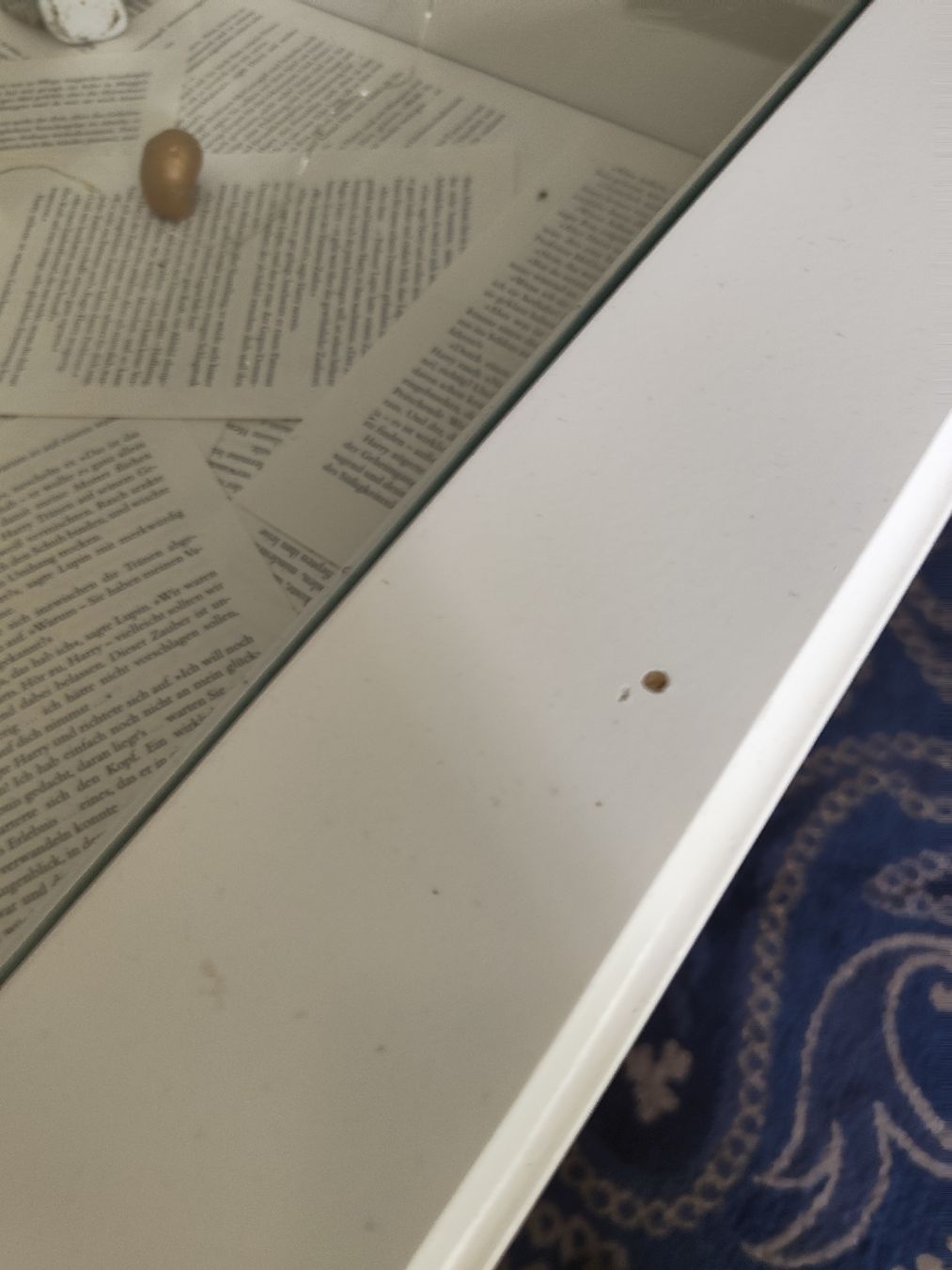 Tische: İkea  Liatorp Couchtisch – Gebraucht aus Basel von Universe. 8