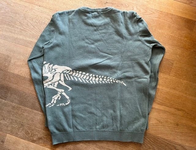 Maglioni & Felpe: 2 Pullis 'Hund und T-Rex' für Kinder – Usato da Steinmaur venduto da Dyleila 2