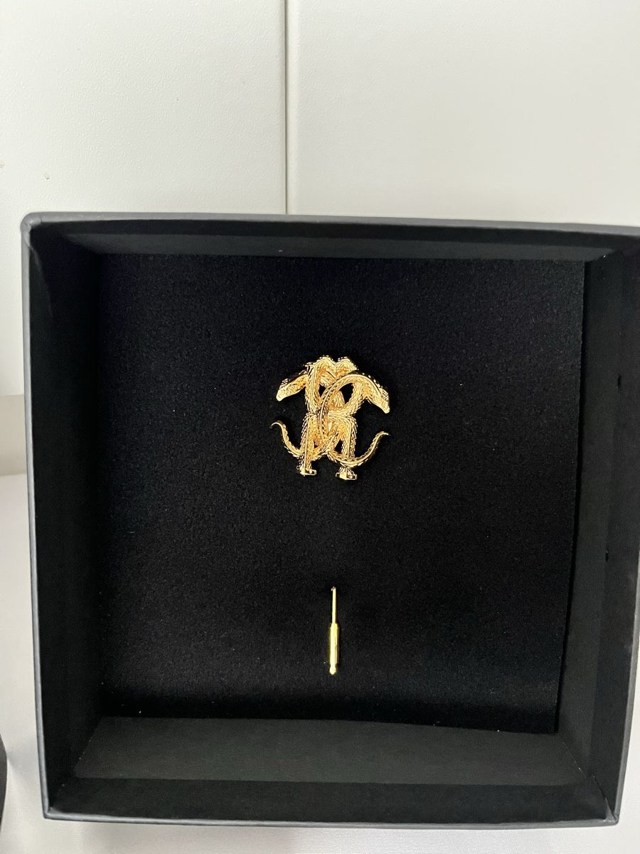 Spille & Fermagli: Spilla da giacca Roberto Cavalli – Nuovo e nell'imballaggio originale da Paradiso venduto da cro_jd7x 1