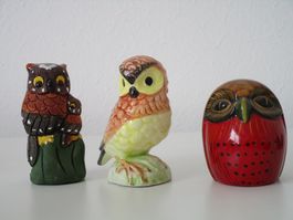 Uhu / Eulen